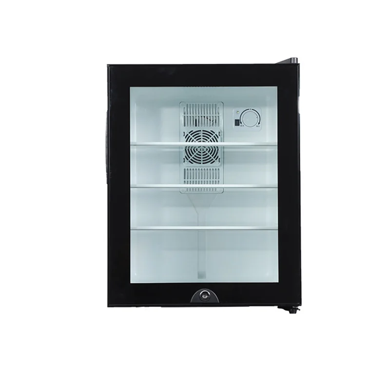 Wine Beer Mini Fridge - Mini frigorifero da 40 litri, porta