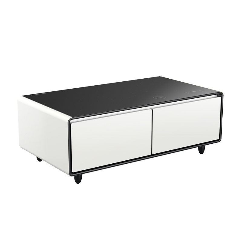 Tavolino da Caffè Intelligente - Wine Beer Mini Fridge recensione e prezzo